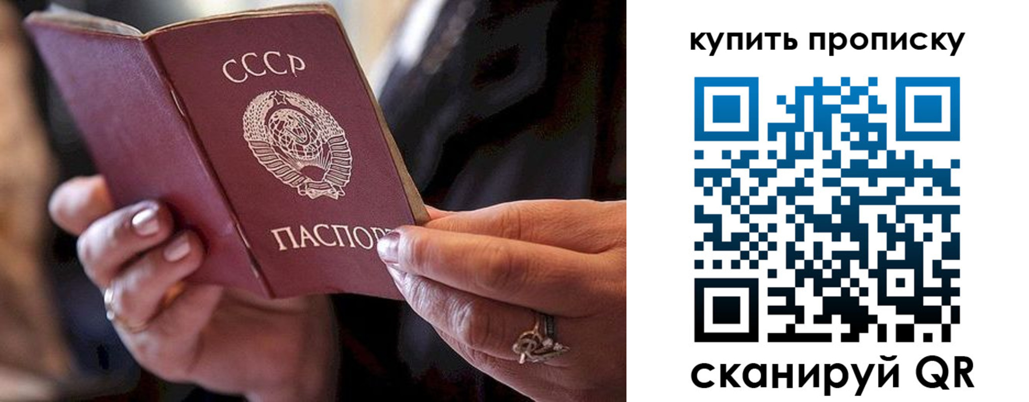 прописка в квартире в Балтийске